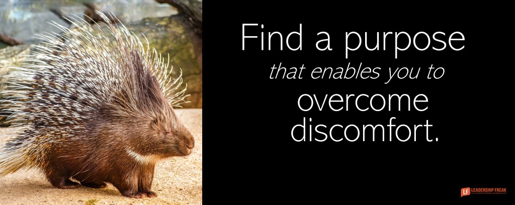 Image of aImage of a porcupine. "Find a purpose that enables you to overcome discomfort."