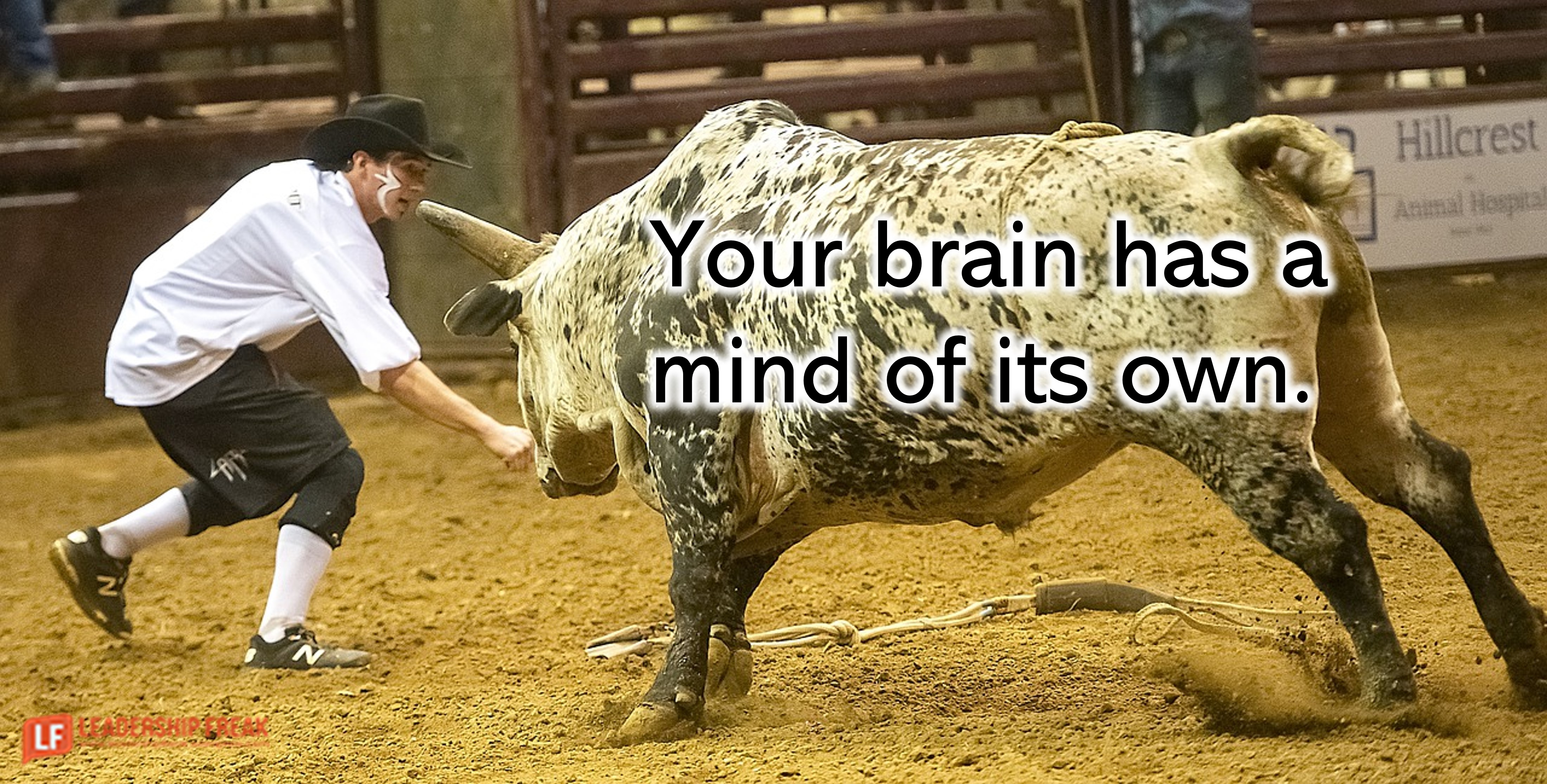 Image of a bull facing down a rodeo clown.

Your brain has a mind of its own.
